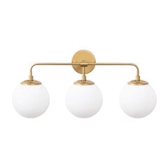 Sienas lampa Horn-12205 цена и информация | Настенные светильники | 220.lv