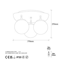 Griestu lampa Well-11720 cena un informācija | Griestu lampas | 220.lv