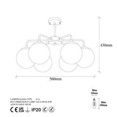 Griestu lampa Viran-11016 цена и информация | Потолочный светильник | 220.lv