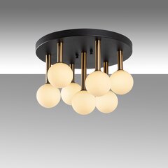 Griestu lampa Even-11755 цена и информация | Потолочные светильники | 220.lv