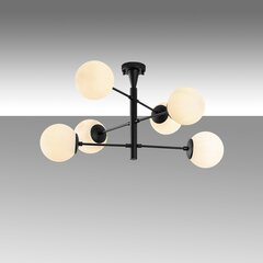 Griestu lampa Arge-10171 цена и информация | Потолочный светильник | 220.lv