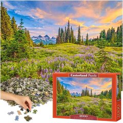 Puzle Castorland Rīta ziedi, ainava, 2000. d. cena un informācija | Puzles, 3D puzles | 220.lv
