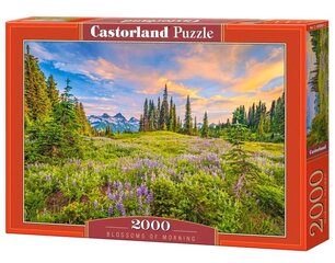 Puzle Castorland Rīta ziedi, ainava, 2000. d. цена и информация | Пазлы | 220.lv