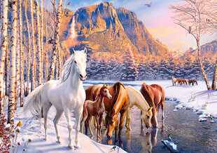 Puzle Castorland zirgu ziemas ainava, 500 d. cena un informācija | Puzles, 3D puzles | 220.lv