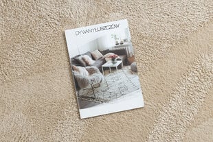 Lindo veļas paklājs, 240x330 cm cena un informācija | Paklāji | 220.lv