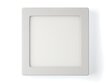 Koloreno LED panelis Classic, 12 W, auksti balts cena un informācija | Iebūvējamās lampas, LED paneļi | 220.lv