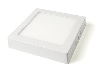 Koloreno LED virsmas panelis Classic, 12W, neitrāli balts cena un informācija | Iebūvējamās lampas, LED paneļi | 220.lv