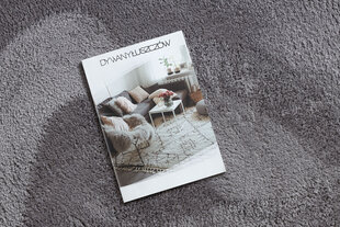 Lindo paklājs, 160x220 cm cena un informācija | Paklāji | 220.lv
