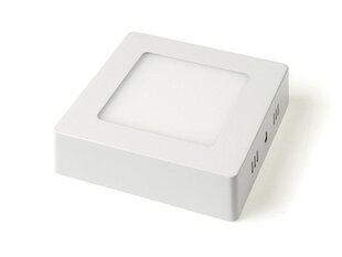 LED virsmas panelis Classic, 6W, auksti balts cena un informācija | Iebūvējamās lampas, LED paneļi | 220.lv