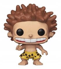 Фигурка Funko POP! The Wild Thornberrys Donnie 507 цена и информация | Атрибутика для игроков | 220.lv