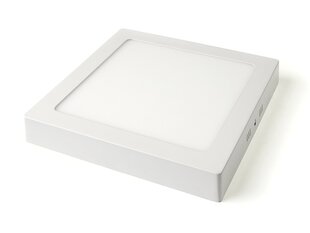 Светодиодная панель, 18 Вт, теплый белый цена и информация | Монтируемые светильники, светодиодные панели | 220.lv