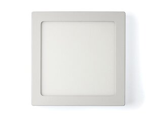 Koloreno LED kvadrātveida panelis Classic, 6W, auksti balts цена и информация | Монтируемые светильники, светодиодные панели | 220.lv