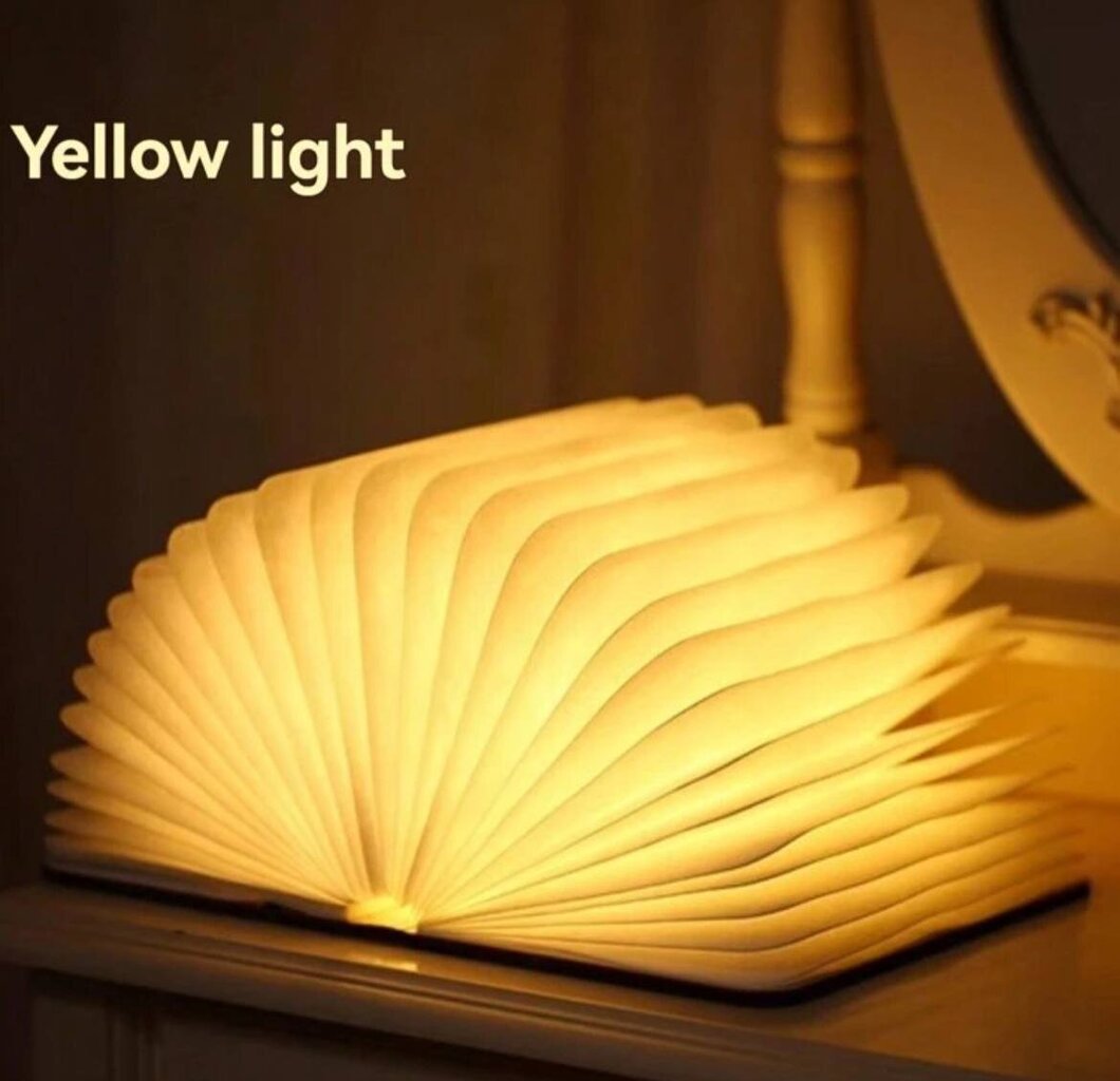 LED grāmatu nakts gaismiņa, Electronics LV-650, 1 gab cena un informācija | Galda lampas | 220.lv