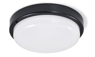 MasterLed светодиодный потолочный светильник Max цена и информация | Потолочные светильники | 220.lv