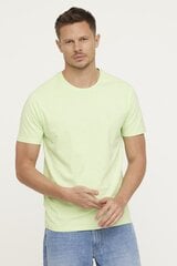 T-krekls vīriešiem Areo MC W200, gaiši zaļš cena un informācija | Vīriešu T-krekli | 220.lv