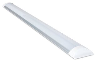 Koloreno LED panelis Slim, 36W, silti balts cena un informācija | Iebūvējamās lampas, LED paneļi | 220.lv