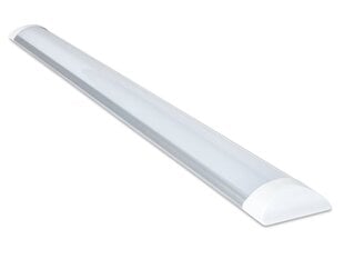 Koloreno LED panelis Slim, 36W, silti balts cena un informācija | Iebūvējamās lampas, LED paneļi | 220.lv