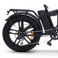Elektriskais velosipēds Skyjet Nitro Pro, 20", melns цена и информация | Elektrovelosipēdi | 220.lv