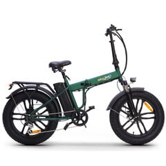 Elektriskais velosipēds Skyjet Nitro Pro, 20", zaļš cena un informācija | Elektrovelosipēdi | 220.lv