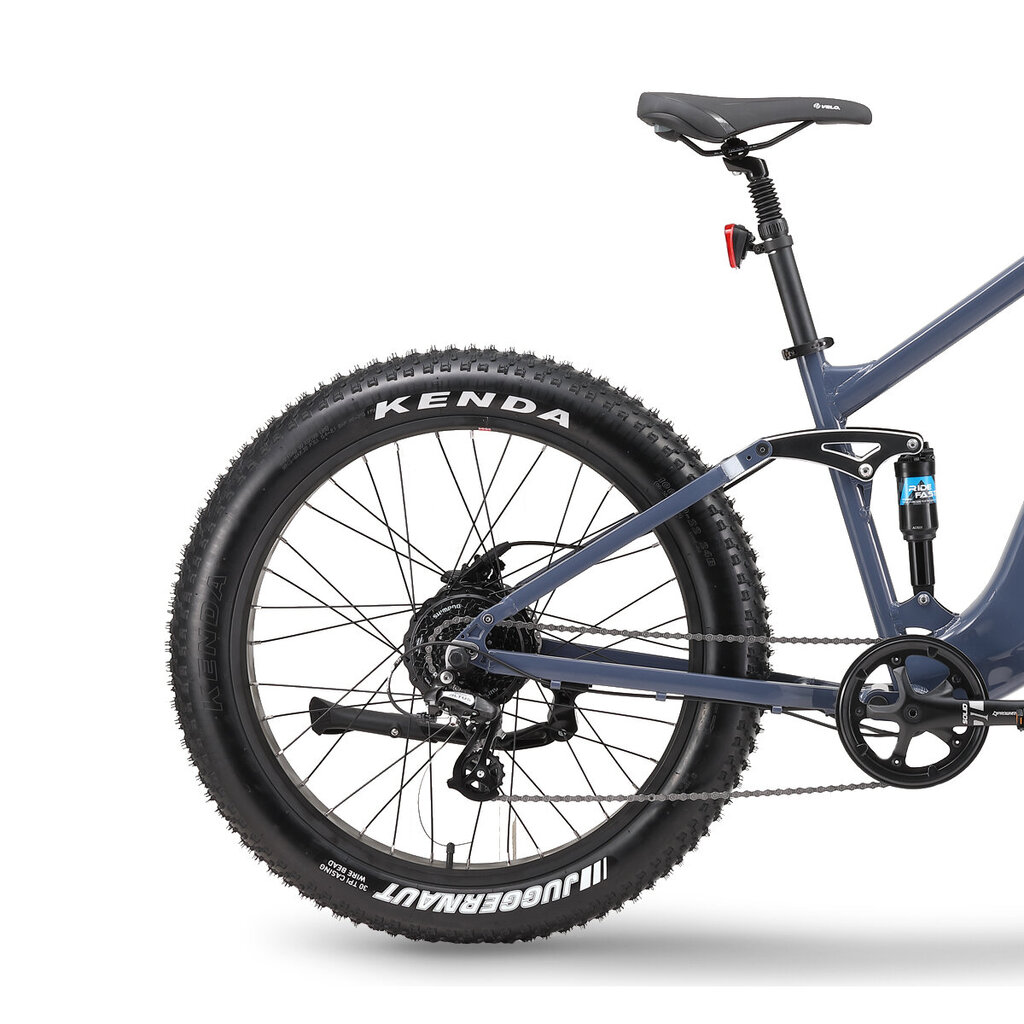 Elektriskais velosipēds Ape Ryder Buffalo-F, 26", zils цена и информация | Elektrovelosipēdi | 220.lv