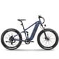 Elektriskais velosipēds Ape Ryder Buffalo-F, 26", zils цена и информация | Elektrovelosipēdi | 220.lv