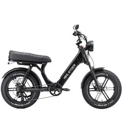 Elektriskais velosipēds Ape Ryder MD10 Pro, 20", melns cena un informācija | Elektrovelosipēdi | 220.lv