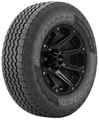 Goodyear Wrangler Territory AT/S 255/65R18 111 H cena un informācija | Vasaras riepas | 220.lv