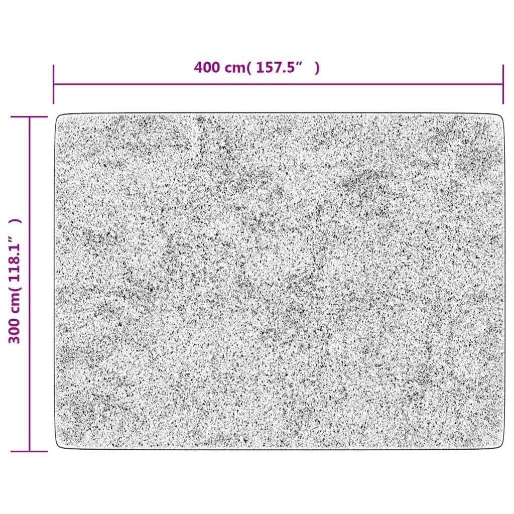 vidaXL paklājs 400x300 cm cena un informācija | Paklāji | 220.lv