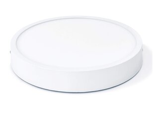 Koloreno apaļais virsmas panelis LED Modern, 24W, neitrāli balts cena un informācija | Iebūvējamās lampas, LED paneļi | 220.lv