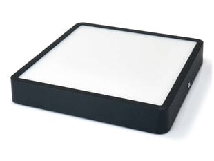 Koloreno накладная панель LED Square Modern 12W цена и информация | Монтируемые светильники, светодиодные панели | 220.lv