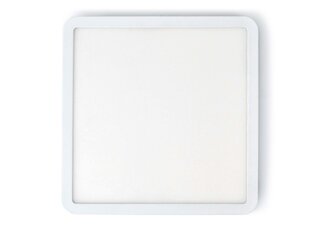 Koloreno LED virsmas kvadrātveida panelis Modern, 18W, neitrāli balta cena un informācija | Iebūvējamās lampas, LED paneļi | 220.lv