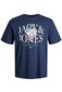 T-krekls vīriešiem Jack & Jones 12241950NAVYBLAZER, zils cena un informācija | Vīriešu T-krekli | 220.lv