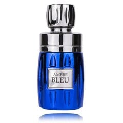 Rave Ambre Bleu Eau de Parfum для мужчин 100 мл цена и информация | Мужские духи | 220.lv