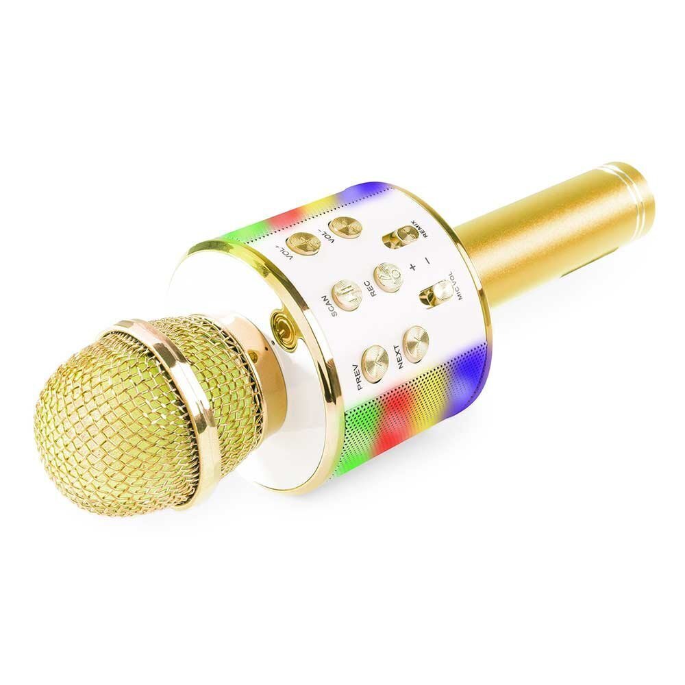 Bērnu karaoke mikrofons ar skaļruni RoGer, WS-858L, 1 gab. cena un informācija | Attīstošās rotaļlietas | 220.lv