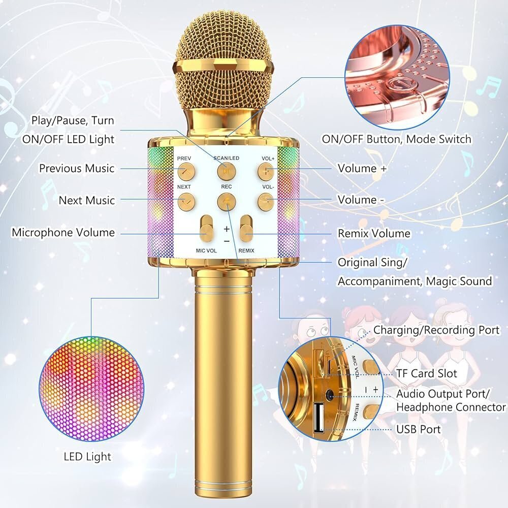 Bērnu karaoke mikrofons ar skaļruni RoGer, WS-858L, 1 gab. cena un informācija | Attīstošās rotaļlietas | 220.lv