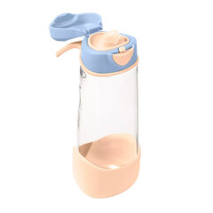 Stikla pudele B.Box, rozā, 36+mēn, 600 ml цена и информация | Бутылочки и аксессуары | 220.lv