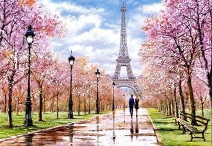 CASTORLAND Puzzle 1000 elementów Romantic Walk In Paris Romantyczny spacer w Paryżu 68x47cm цена и информация | Пазлы | 220.lv