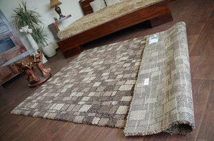 Shaggy Cosy paklājs dizains 51004/831, 120x170 cm цена и информация | Ковры | 220.lv