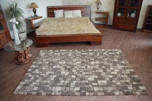 Shaggy Cosy paklājs dizains 51004/831, 120x170 cm цена и информация | Ковры | 220.lv