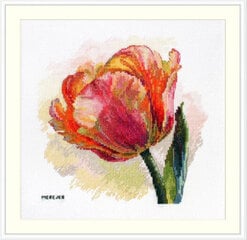 Krustdūrienu komplekts Tulpe SK248, 21x21 cm cena un informācija | Izšūšanas piederumi | 220.lv