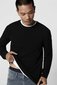 Džemperis vīriešiem Only & Sons 22016980BLACK, melns cena un informācija | Vīriešu džemperi | 220.lv