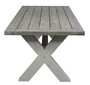 Āra galds Marina XL 250x100x77 cm, pelēks цена и информация | Dārza galdi | 220.lv