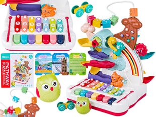 Daudzfunkcionāla izglītojoša rotaļlieta mazulim cena un informācija | Attīstošās rotaļlietas | 220.lv