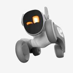 Robotsuns Keyi Tech Loona цена и информация | Развивающие игрушки | 220.lv