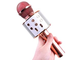 Bezvadu karaoke mikrofons ar skaļruni, rozā krāsā cena un informācija | Attīstošās rotaļlietas | 220.lv