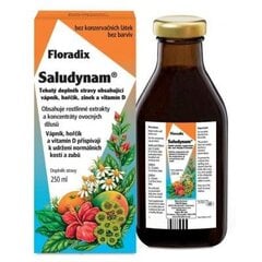 Uztura bagātinātājs Floradix Saludynam, 250ml cena un informācija | Vitamīni | 220.lv