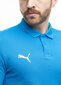 T-krekls vīriešiem Puma Team Goal Casuals Polo 658605 02, zils cena un informācija | Vīriešu T-krekli | 220.lv