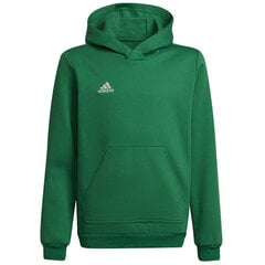 Джемпер для детей Adidas Entrada 22 Hoody Y Jr HI2143, зеленый цена и информация | Свитеры, жилетки, пиджаки для мальчиков | 220.lv