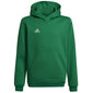 Džemperis bērniem Adidas Entrada 22 Hoody Y Jr HI2143, zaļš cena un informācija | Zēnu jakas, džemperi, žaketes, vestes | 220.lv