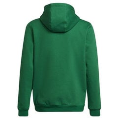 Джемпер для детей Adidas Entrada 22 Hoody Y Jr HI2143, зеленый цена и информация | Свитеры, жилетки, пиджаки для мальчиков | 220.lv